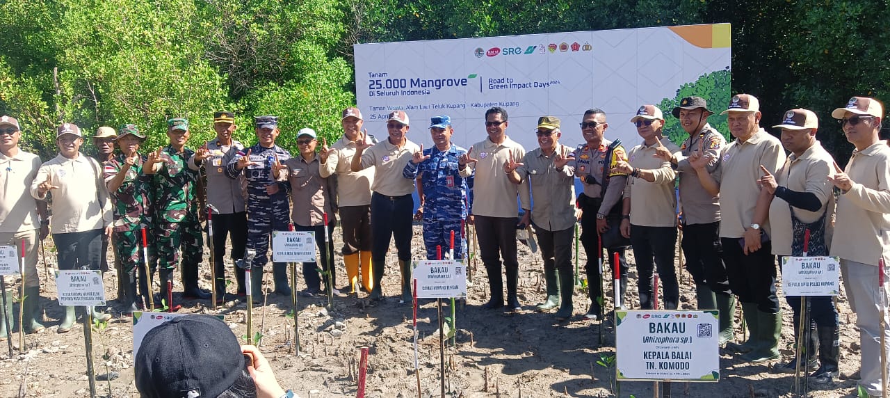 KLHK Selenggarakan Acara Penanaman Mangrove Serentak di 25 Provinsi di Indonesia