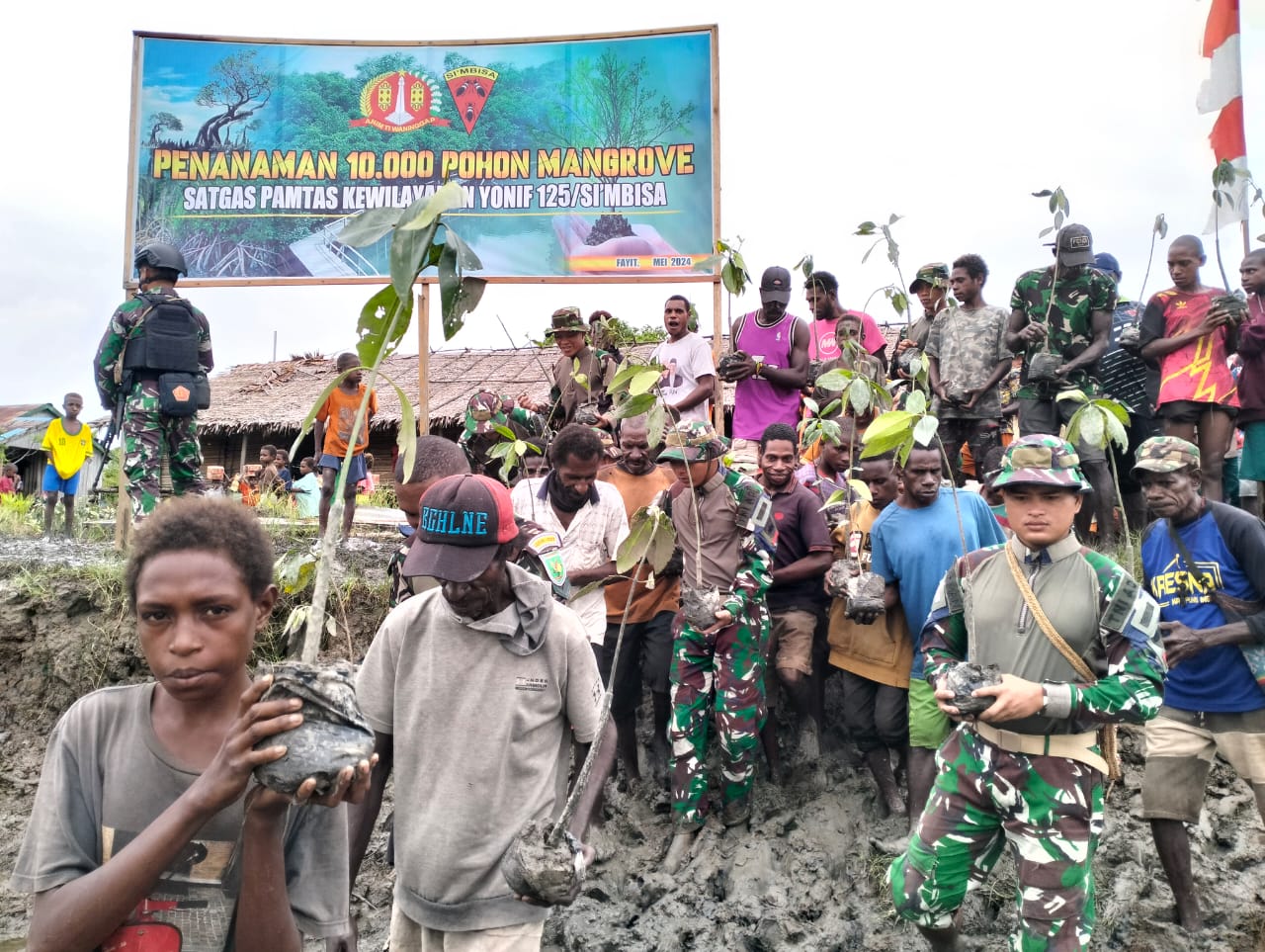 Tanam 10.000 Bibit Mangrove, Satgas Yonif 125/SMB Bersama Rakyat Bersatu Dengan Alam Untuk NKRI