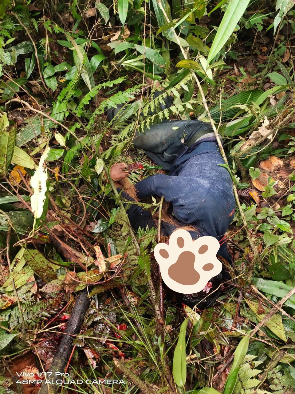 “Waspada! Aksi Pembacokan di Desa Oelbubuk, Korban Sudah 5 Orang”