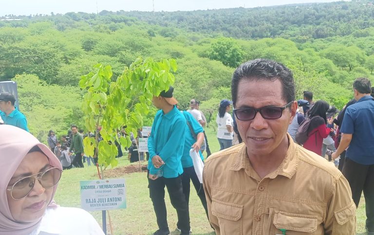 Membangkitkan NTT Melalui Gerakan Menanam Pohon: Langkah Strategis Dolfus Tuames untuk Masa Depan Lingkungan dan Ekonomi