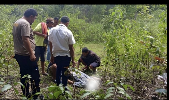 Darah di Ujung Laras: Tragisnya Nyawa yang Melayang di Nifuboke