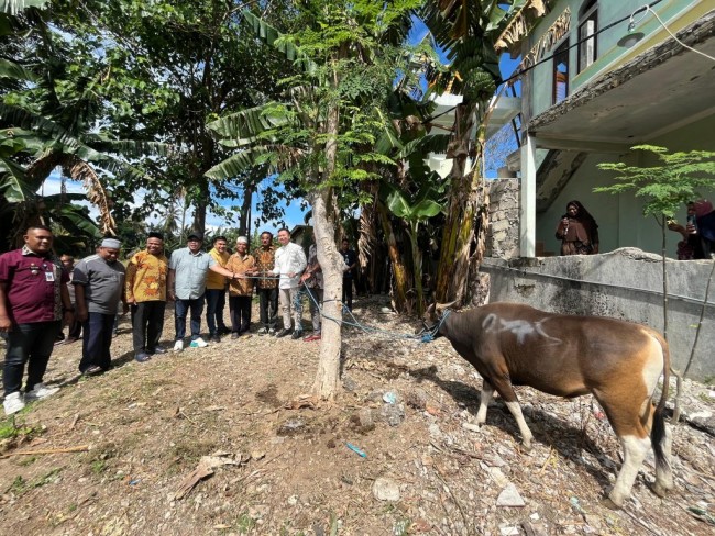 Menjelang Iduladha 1446 H, Pemkot Kupang Salurkan Hewan Kurban ke Sejumlah Masjid