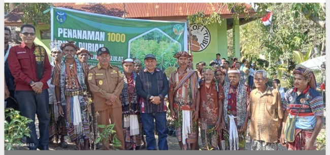 Kolaborasi Strategis BPDAS dan Pemda TTU: 1000 Anakan Durian Musang King untuk Kesejahteraan dan Pelestarian Lingkungan