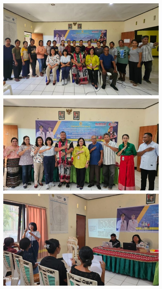 Dinas Pertanian Kota Kupang Bersama Undana Hadirkan Solusi Pangan Berkelanjutan Melalui Pelatihan YUMINA untuk Cegah Stunting
