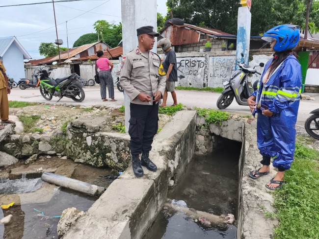 “Bangkai Babi di Drainase, Limbah RPH Kupang Diduga Mengalir Bebas ke Laut”