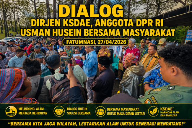 Wujudkan “Rumah Bersama”, Dirjen KSDAE dan DPR-RI Serap Aspirasi Masyarakat Adat Mutis Timau
